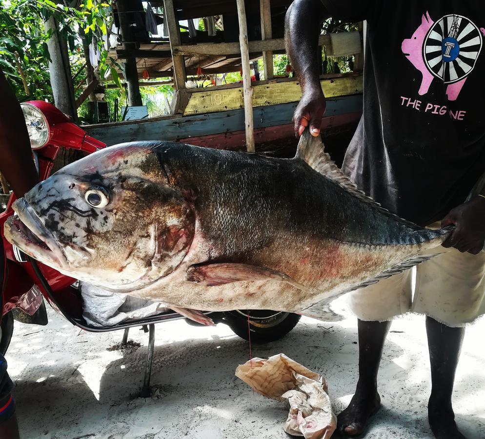 Kae Funk Zanzibar Hotel Michamvi Kae Luaran gambar