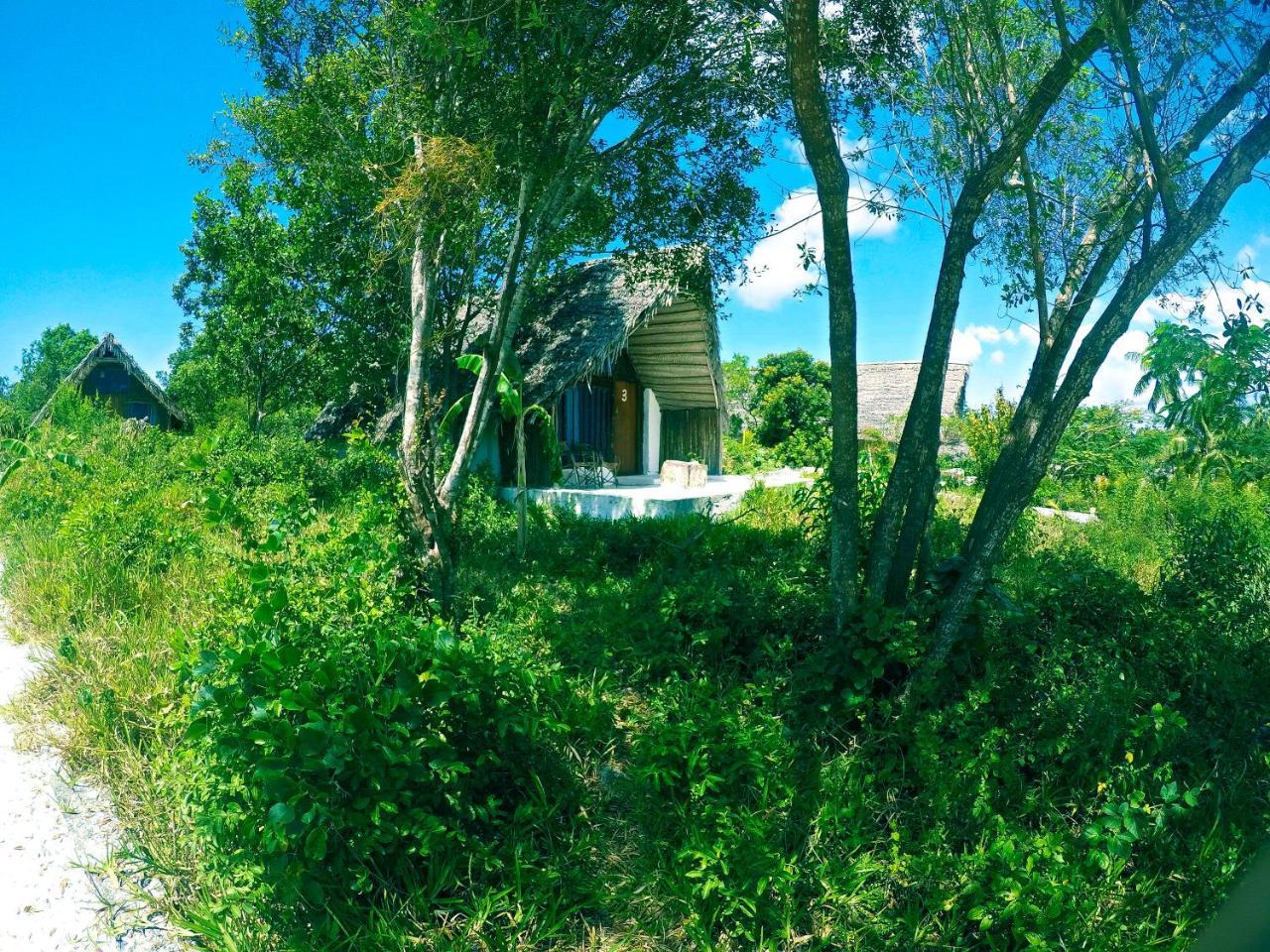 Kae Funk Zanzibar Hotel Michamvi Kae Luaran gambar